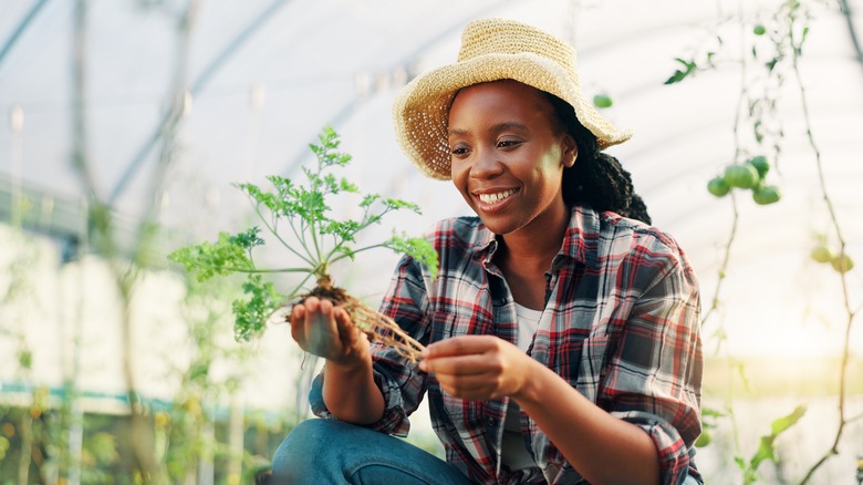 A young woman wearing a hat and flannel holds a young plant while in a greenhouse.