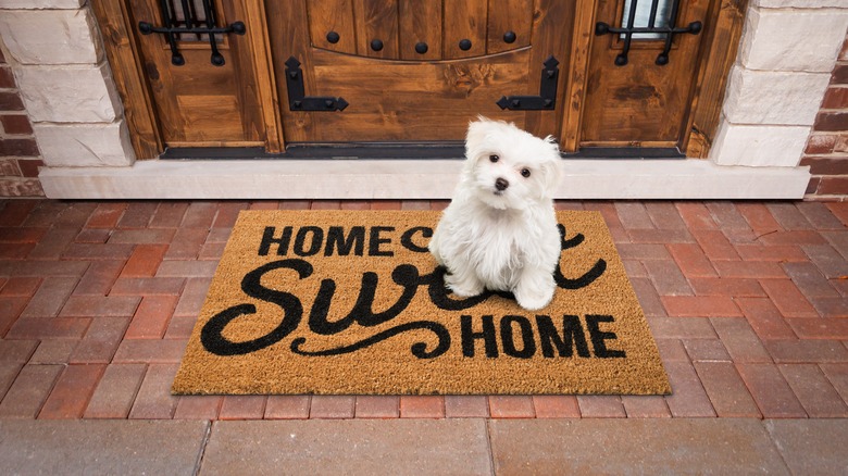 Puppy on home welcome mat 