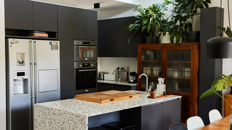 A black and white kitchen with plants, speckled countertops, and wood cabinet