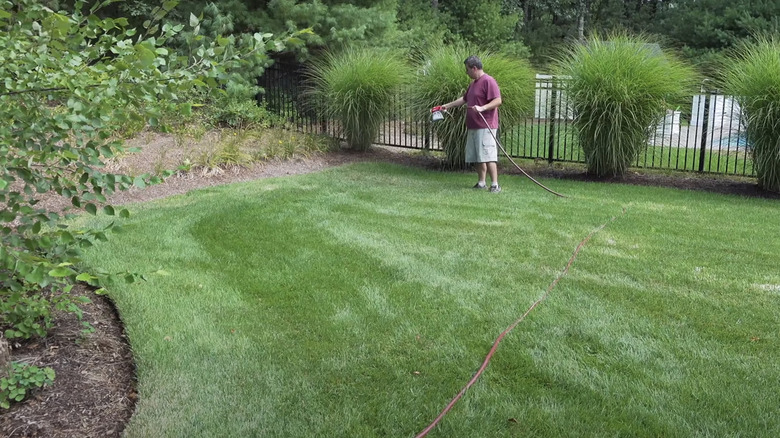 man liquid aerating his lawn