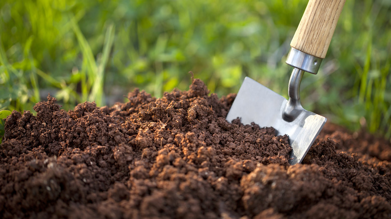 trowel in garden soil