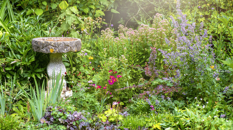 A birdbath is surrounded by flowers and other greenery.