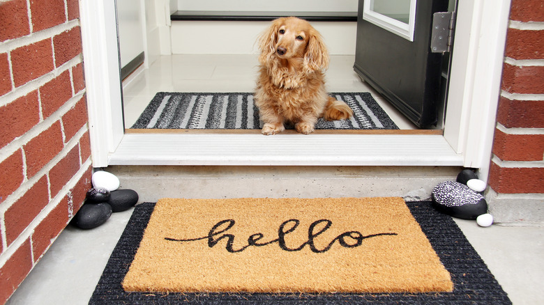 doormat with dog