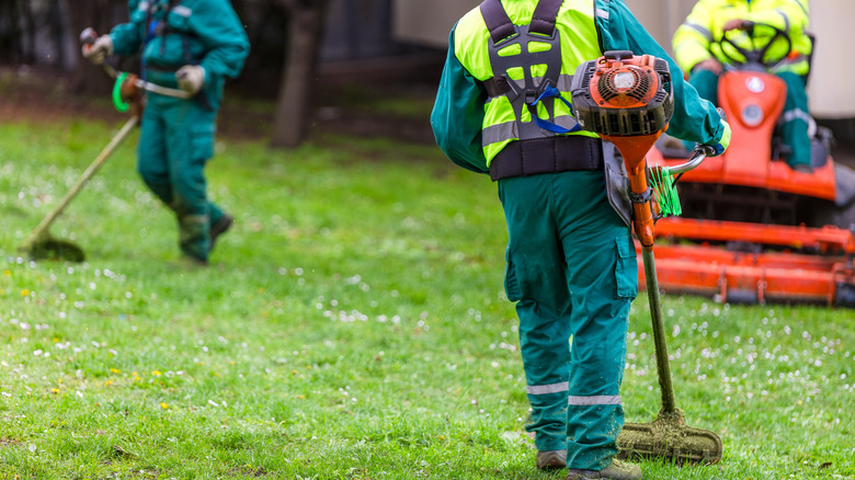 Three professional lawncare workers are mowing and trimming a yard.