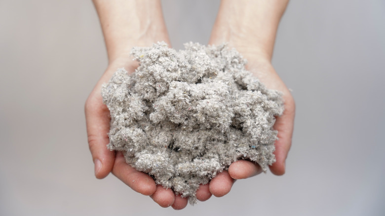 Hands holding cellulose insulation