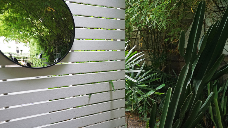 A mirror on a fence in a shady garden