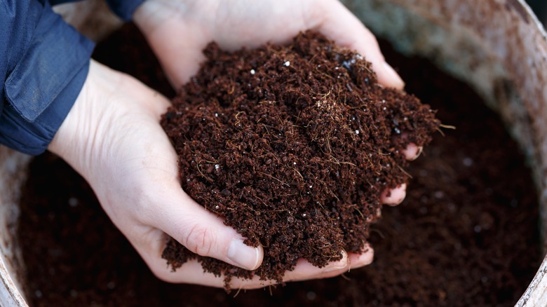 hands holding mulch over bucket