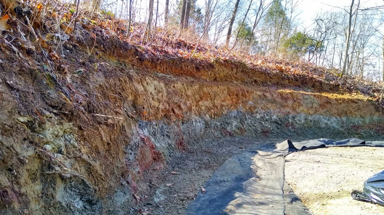 Area in need of retaining wall.