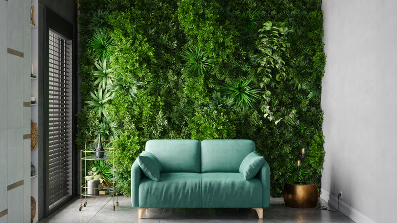 turquoise sofa against plant wall