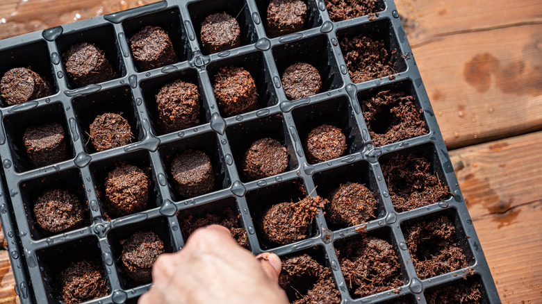 gridded planter