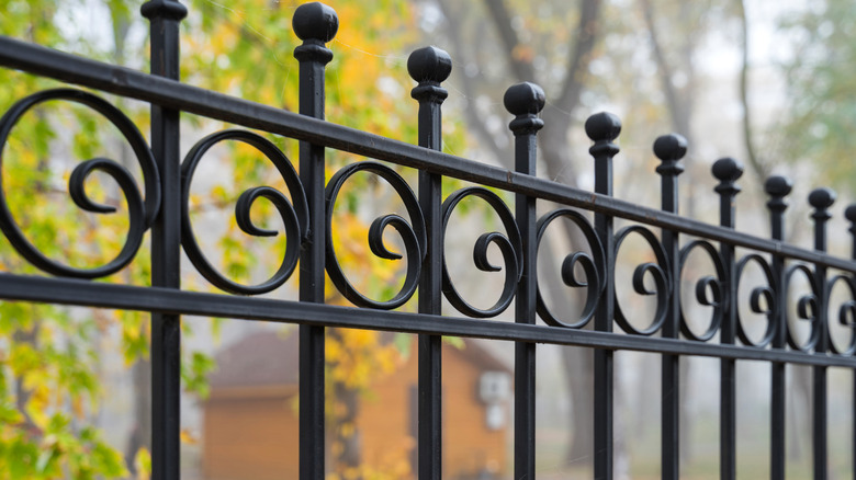 Close up of iron fence around yard