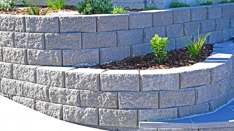 Concrete block landscaping with plants