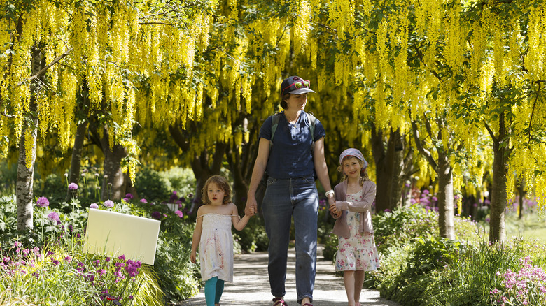 Family walking through trees