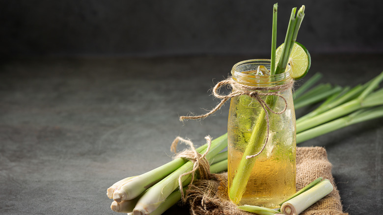 lemongrass infused drink