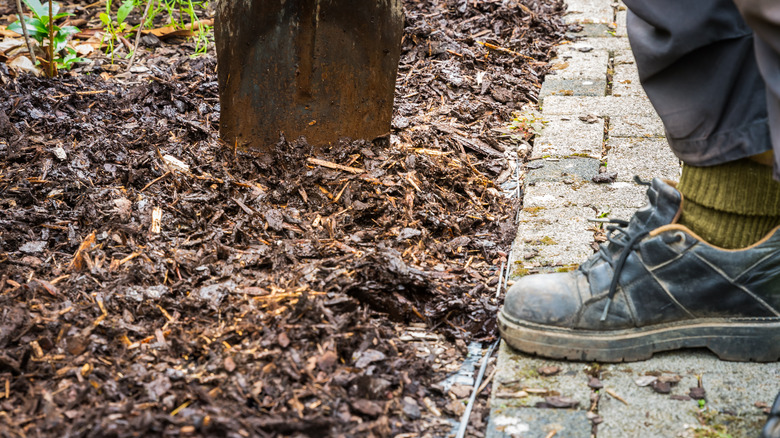Person applying mulch