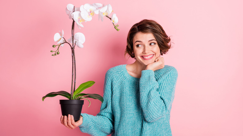 Woman looks at orchid