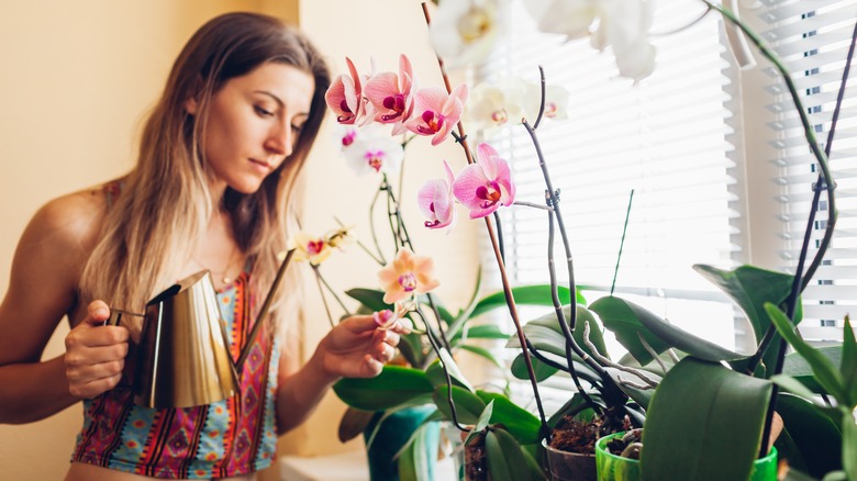 Woman with watering can near orchid