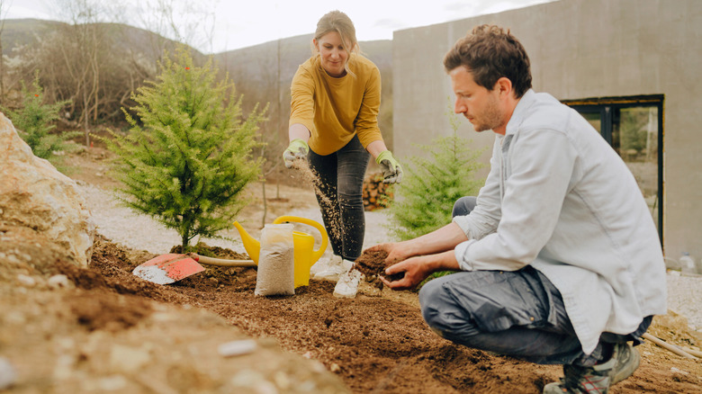 Man and woman sowing grass