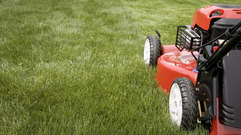 lawnmower cutting grass
