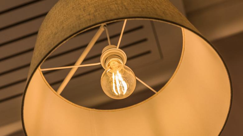 Light bulb and lampshade