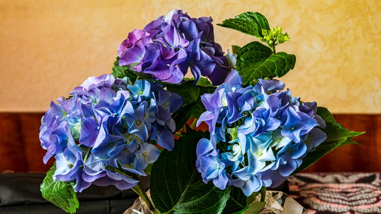 Purple and blue hydrangea bouquet