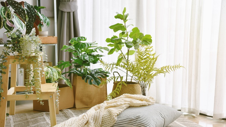 Relaxing space filled with artificial houseplants
