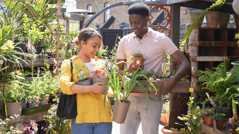 Two young people shopping for plants