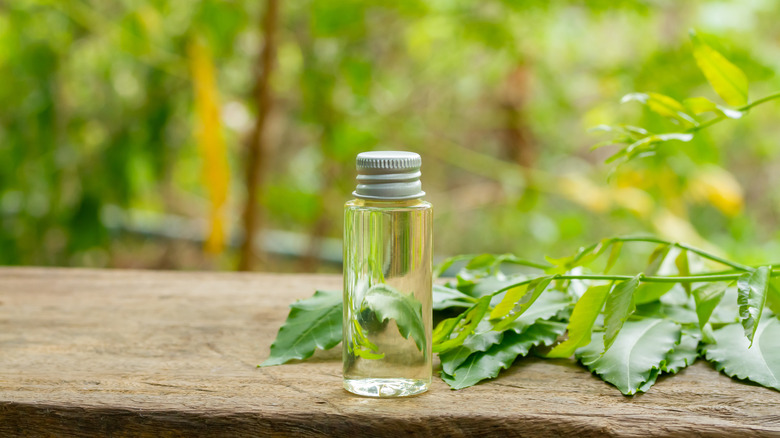 Neem oil next to leaf