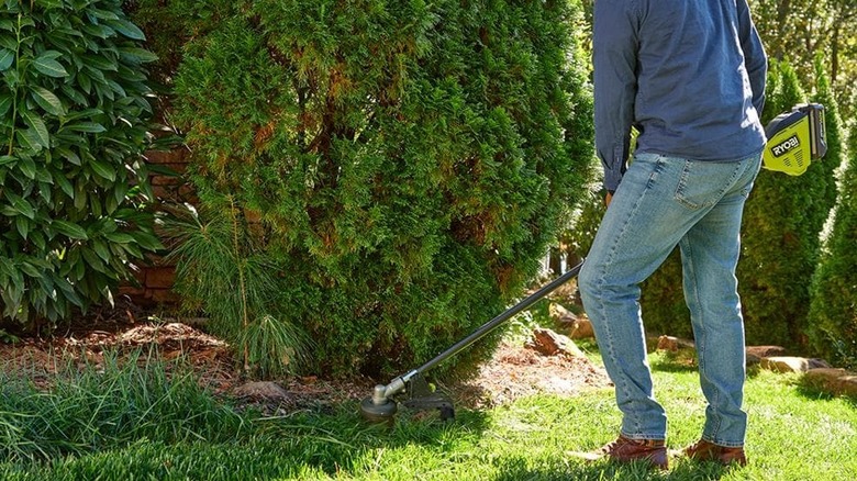 A Ryobi electric string trimmer being used on a lawn near trees