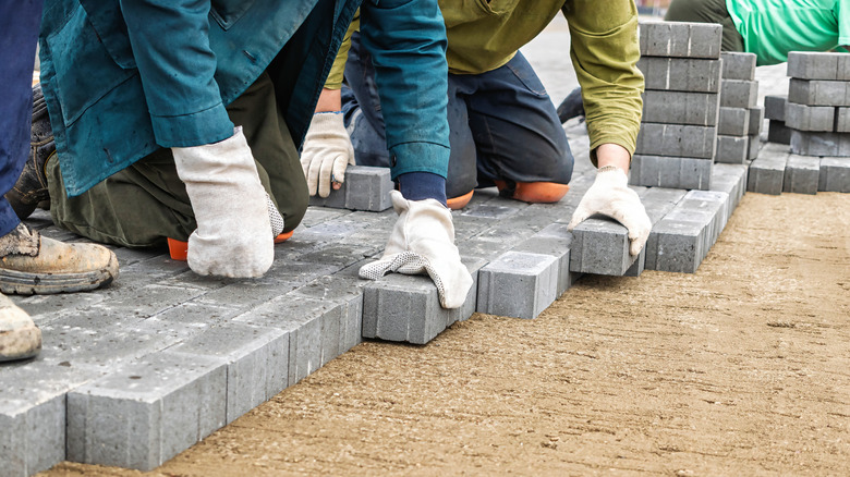 A crew installing pavers on screeded sand