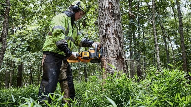 Person cutting a large tree with a DeWalt chainsaw