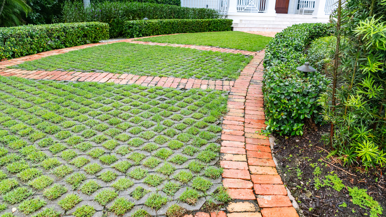 Landscaped yard with concrete grid and brick pavers allowing grass to grow.