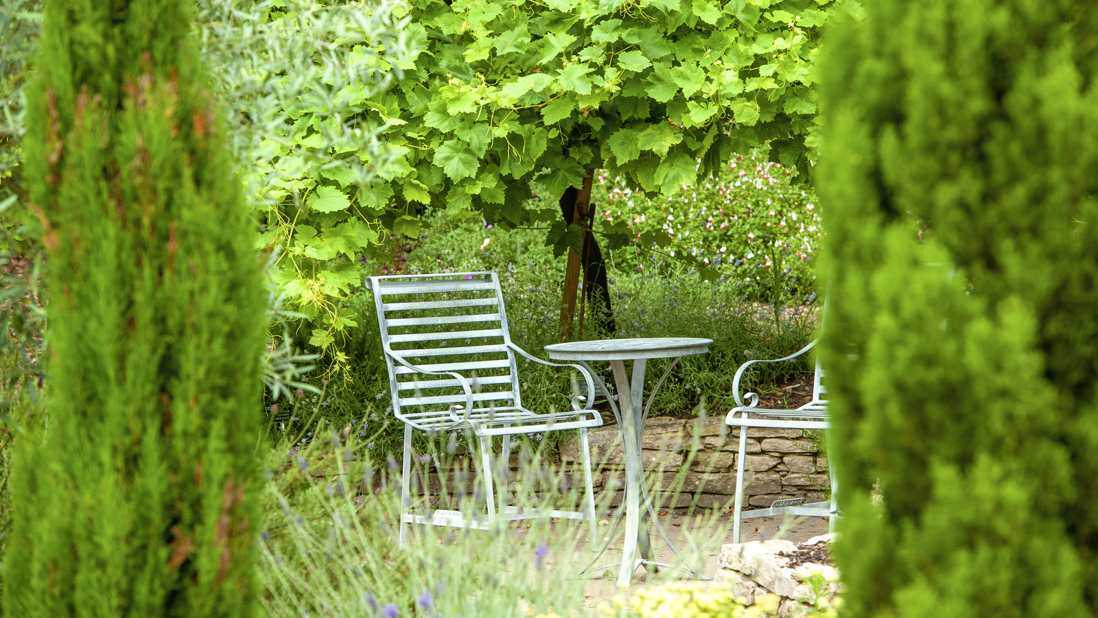How To Choose The Best Material For An Outdoor Privacy Screen - Privacy Screen For Outdoor Living