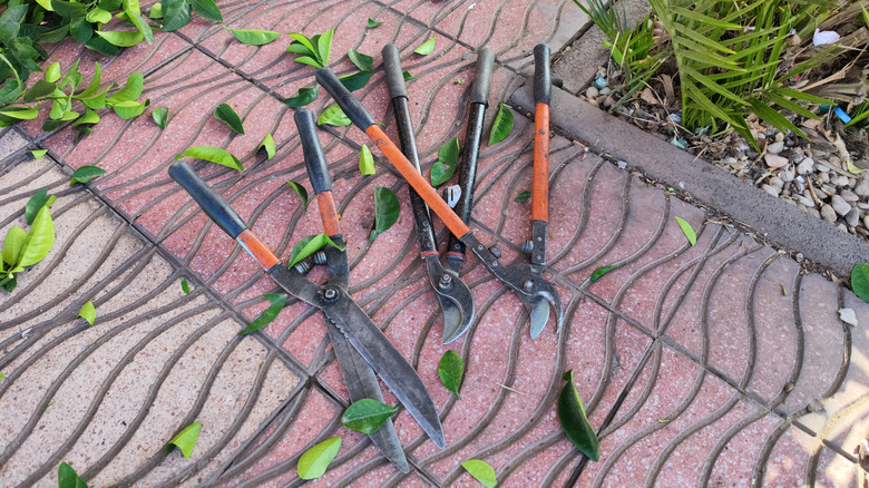 various pruning tools on a tile pathway