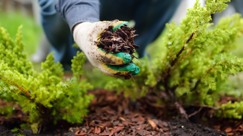 How Often Should You Be Cleaning Your Lawn Sprinkler Heads?