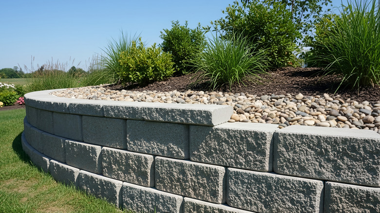 A concrete retaining wall curves around a garden bed filled with plants