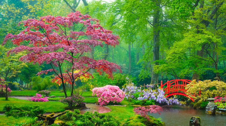 vibrant japanese garden flowers blooming