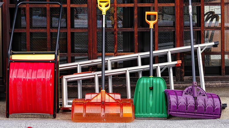 Various types of snow shovels lined up inside a store