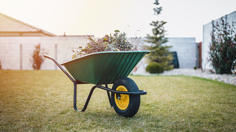 Green wheelbarrow with black wheel