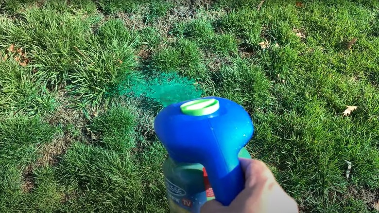 person spraying liquid grass seed