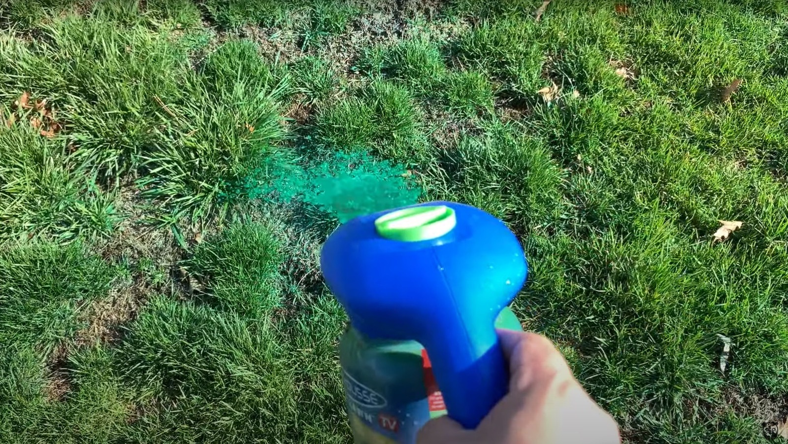 How To Choose The Right SprayOn Grass Seed For Your Lawn