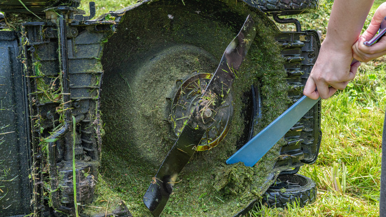 A person preparing to replace a lawn mower blade on a push mower