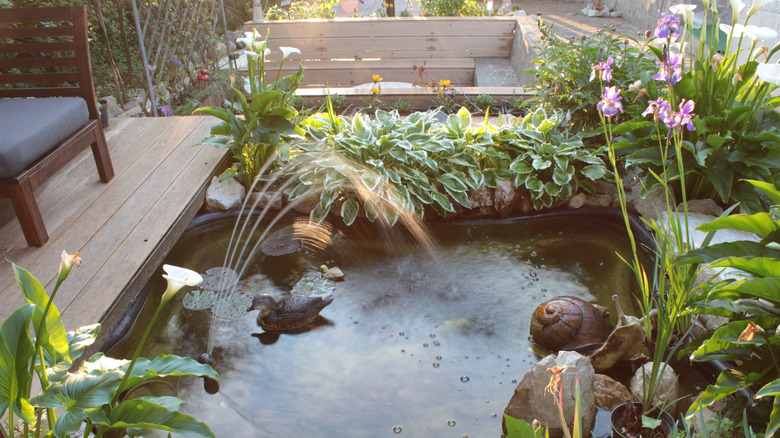 newly built pond rock pond being filled with water without plants or fish
