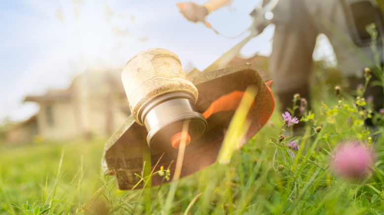 The head of a weed trimmer hovers over grass and weeds while cutting them.