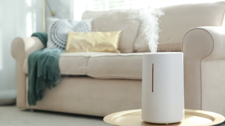 modern living room with humidifier