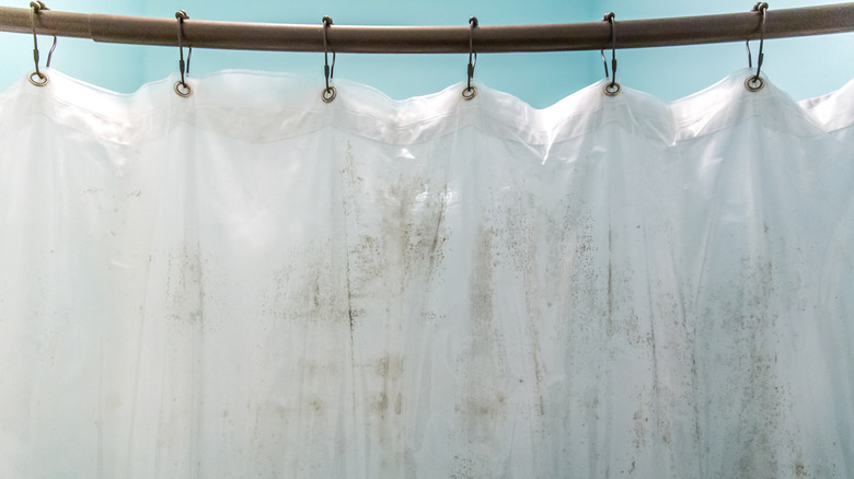 Mildew on a white shower curtain