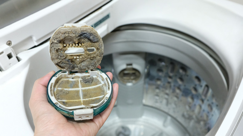 dirty washer lint trap