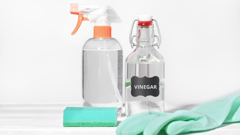 A bottle of white vinegar for cleaning purposes sitting on a counter