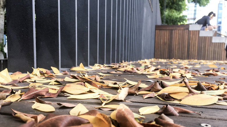 A dirty wooden deck covered with fallen leaves