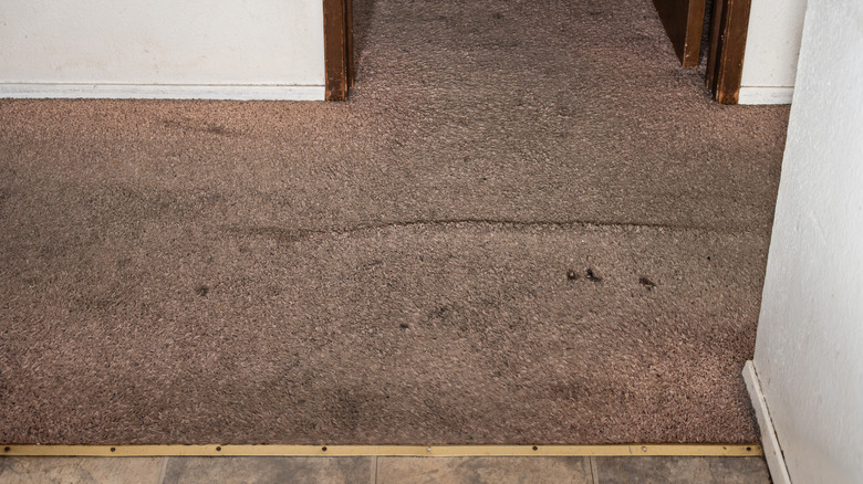 Stained grey colored carpet in a home hallway next to an area with lino.